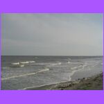 Folly Beach 2.jpg